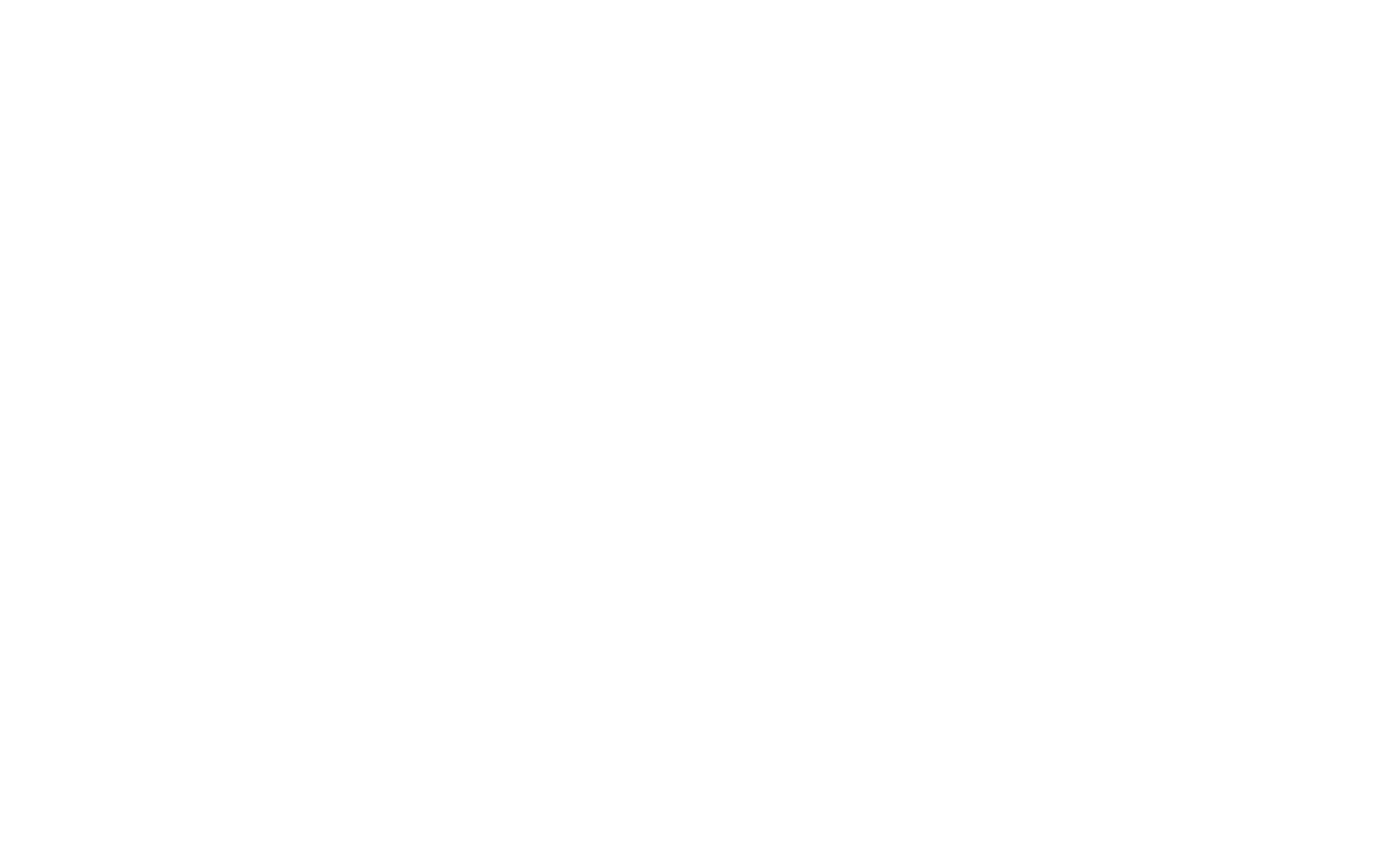 The Exit Advisor logo